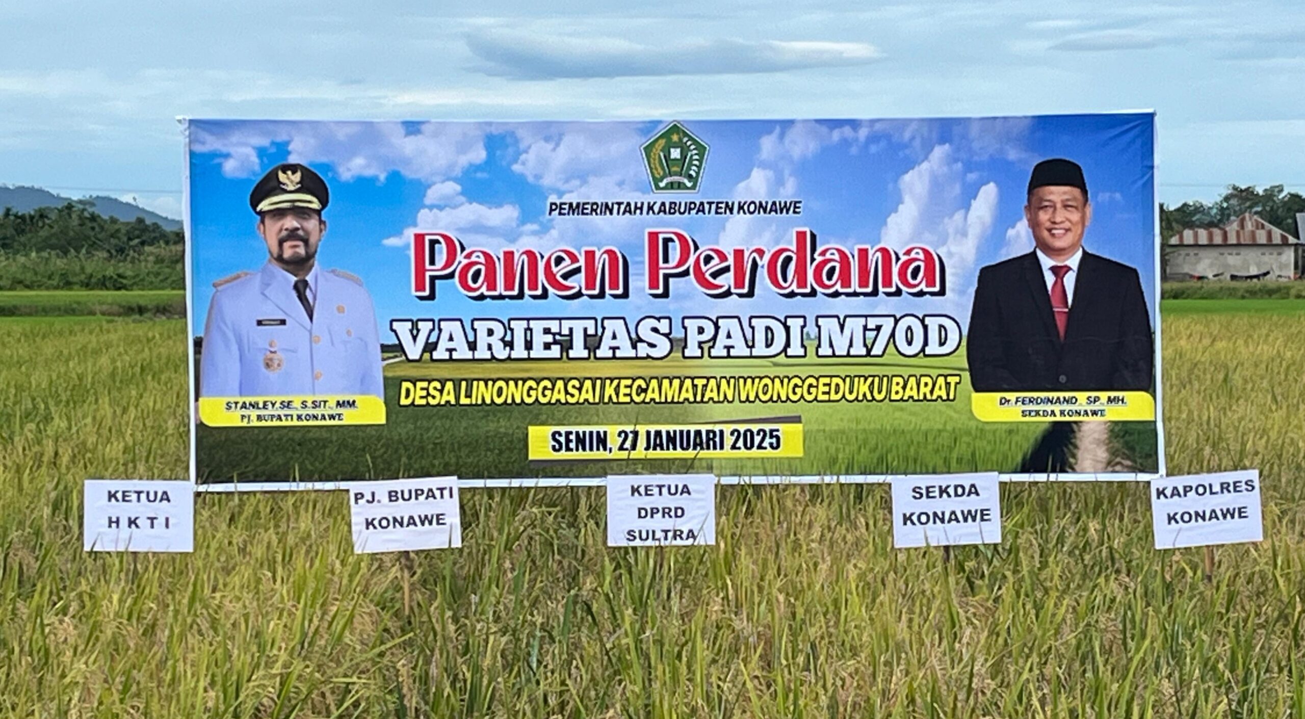 Panen Perdana Padi di Konawe, Ketua DPRD Sultra La Ode Tariala: Dorong Petani Berinovasi dan Sejahtera 3 IMG 20250127 WA0014 1 scaled