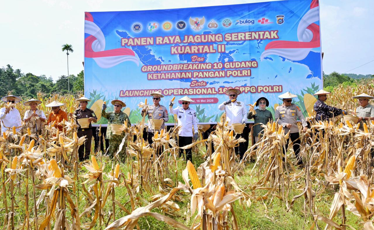 Panen Jagung Serentak Digelar, Wali Kota Ingin Kendari Punya Cadangan Pangan Kuat 3 IMG 20260517 WA0045