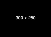 300 x 250 5 300 x 250