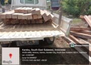 IMG 20231117 WA0081
