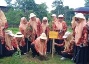 IMG 20240511 WA0016