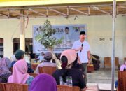 IMG 20240912 WA0138