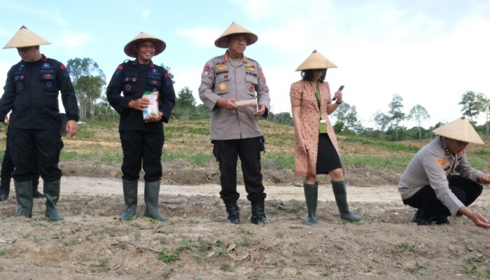 IMG 20241106 WA0133 1
