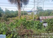 IMG 20241120 WA0005