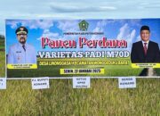 IMG 20250127 WA0014 1