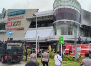 IMG 20250211 WA0031