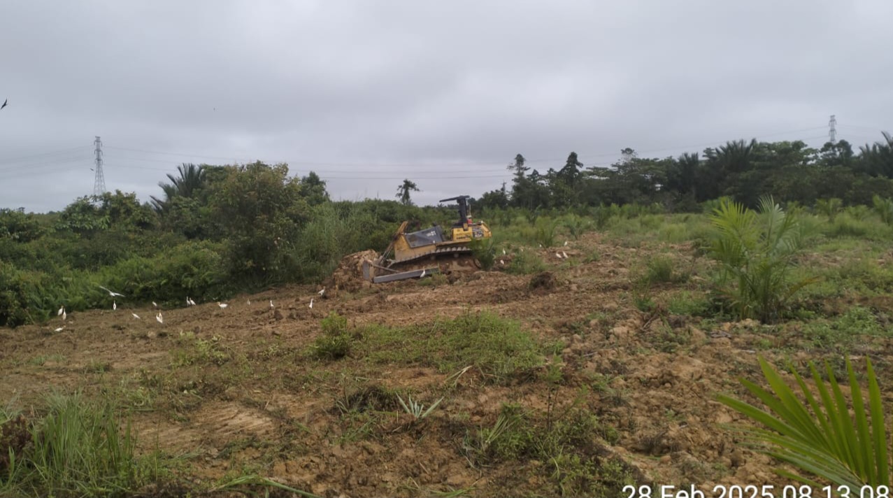 IMG 20250303 WA0082