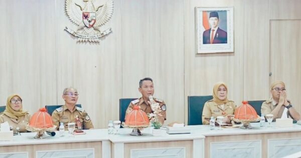Amir 6