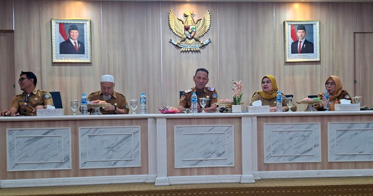 Amir 10