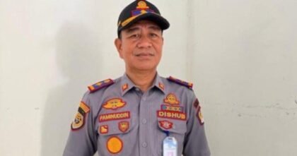 Paminuddin
