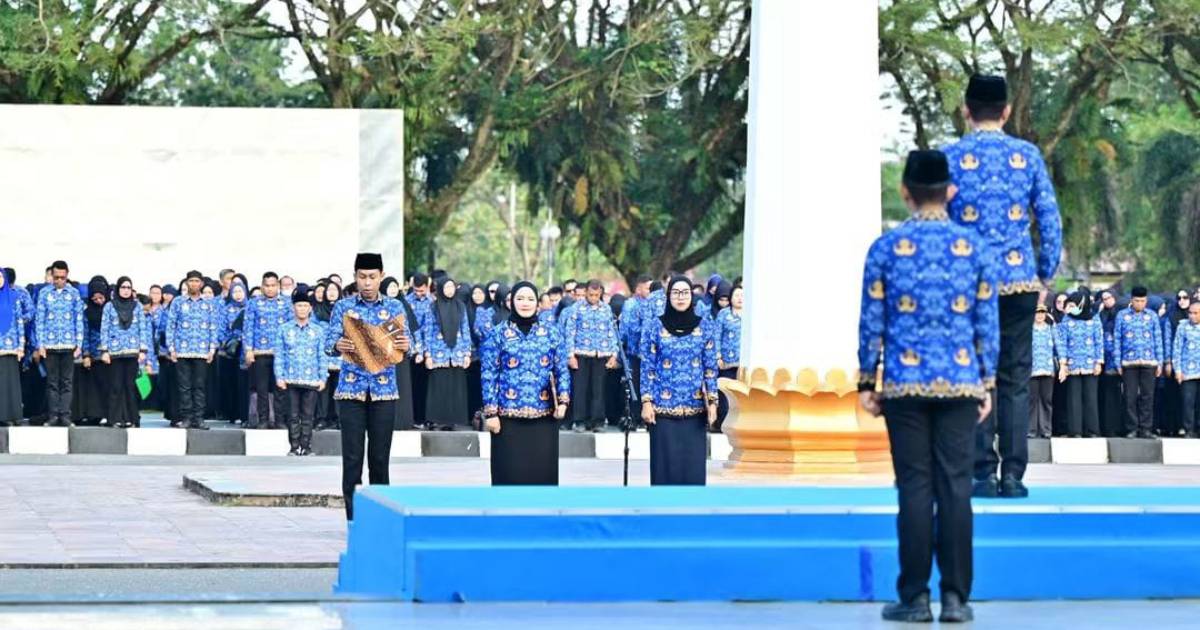 Sekda 19